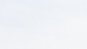 Agentes de Operaciones de Ejecución y Remoción (ERO), división de ICE, revisaron las licencias de los jardineros inmigrantes.