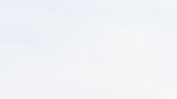 Agentes de Operaciones de Ejecución y Remoción (ERO), división de ICE, revisaron las licencias de los jardineros inmigrantes.