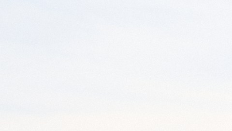 Agentes de Operaciones de Ejecución y Remoción (ERO), división de ICE, revisaron las licencias de los jardineros inmigrantes.