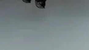 La policía describe el crimen como “horrendo” y aún investiga el motivo.