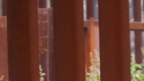 Testigos indican que el hombre no solo fue atropellado, sino que después fue sometido desde el suelo para ser arrestado.