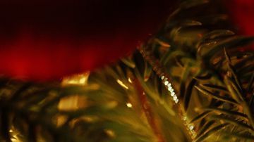 La canela en el árbol navideño se puede convertir en tu amuleto de la suerte.