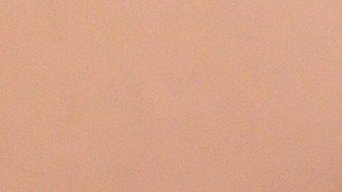 La aplicación CBP Home está disponible en Google Play y es completamente gratuita.