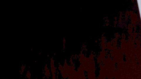 Claudia Martín y Carlos Said