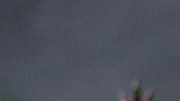 Colores como el negro, atraerán equilibrio en 2026, según el Feng Shui.