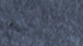 Retiran comida para perros en varios estados por contaminación de plástico