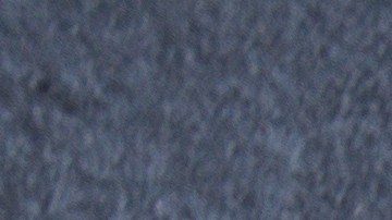 Retiran comida para perros en varios estados por contaminación de plástico