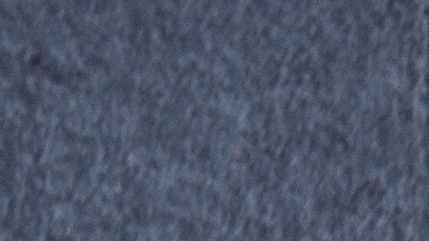 Retiran comida para perros en varios estados por contaminación de plástico