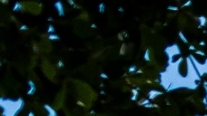 Los 6 productos que no se recomienda comprar en Costco.