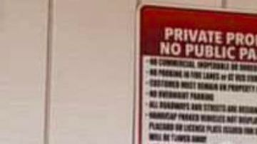 En la imagen del cartel, una mariposa está atrapada y se encuentra tras las rejas.