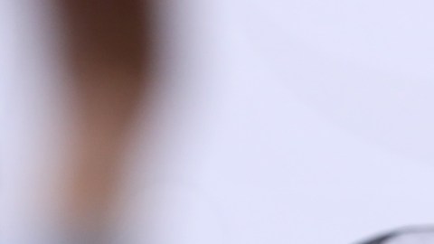 Sheinbaum ve un “momento de reflexión” para el progresismo de izquierda tras triunfo del ultraderechistas Kast en Chile