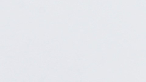 El objetivo principal de la ley es permitir que ciertos no ciudadanos, traídos a EE. UU. durante su niñez y que cumplen requisitos específicos.