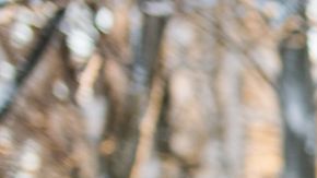 Un sentimiento de felicidad nacerá en quienes sean de estos 3 signos.