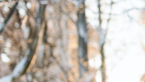 Un sentimiento de felicidad nacerá en quienes sean de estos 3 signos.