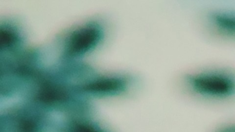 Los números de tu fecha de nacimiento revelan secretos ocultos.