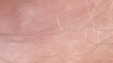 A su regreso al Gobierno, Donald Trump estableció las directrices que marcarán su gestión.