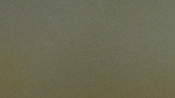 Trump ha intensificado su retórica antiinmigratoria en las últimas semanas, particularmente después del tiroteo mortal en D.C.