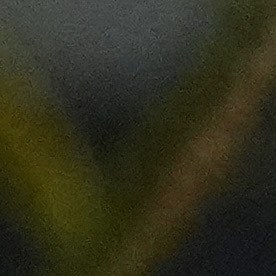 Trump se centró en la inmigración y dijo que heredó "la peor frontera del mundo", pero que ahora es “la mejor”.