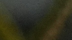 Trump se centró en la inmigración y dijo que heredó "la peor frontera del mundo", pero que ahora es “la mejor”.