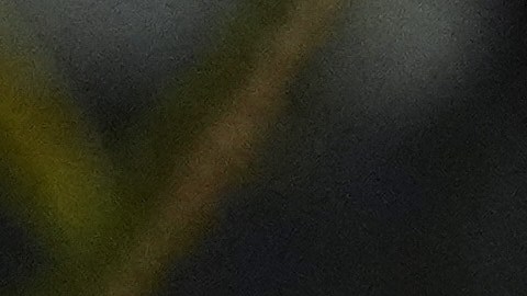 Trump se centró en la inmigración y dijo que heredó "la peor frontera del mundo", pero que ahora es “la mejor”.