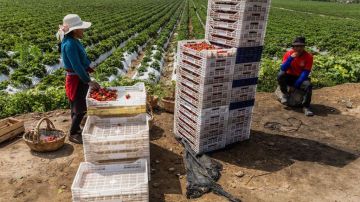 e0f93f10-cd89-11f0-9fb5-5f3a3703a365