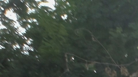 Fuerzas federales y estatales participaron en un operativo en San Cristóbal de las Casas, Chiapas.