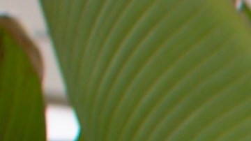 empleos en Estados Unidos