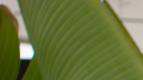 empleos en Estados Unidos