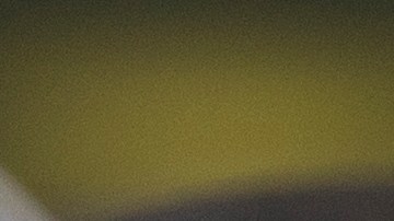 Un 40% de los inmigrantes encuestados también sorprendió al considerar que las políticas migratorias “son necesarias”.