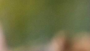 Una jueza ordenó su liberación inmediata.