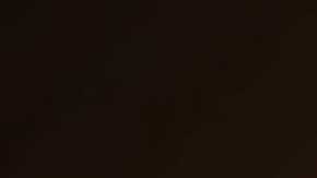 Además de ser un gesto tierno, dejarle galletas y leche a Santa Claus aumenta la emotividad y "magia" de la Nochebuena.