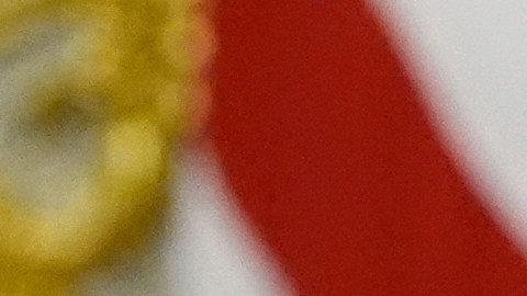 Trump firmó una orden ejecutiva en septiembre anunciando el lanzamiento oficial de la tarjeta dorada.