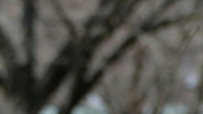 El máximo tribunal desestimó una solicitud de emergencia presentada por la administración republicana.