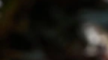 Advierten contra recolección de hongos silvestres en California: una persona muerta y más de 20 intoxicados