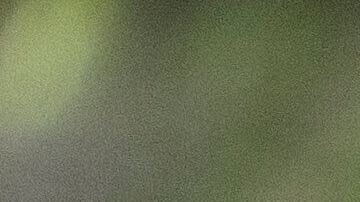 El operativo ocurrió sin previo aviso y a un ritmo que tomó por sorpresa a quienes se encontraban dentro, informan medios.