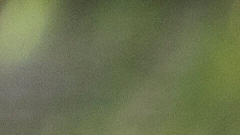 El operativo ocurrió sin previo aviso y a un ritmo que tomó por sorpresa a quienes se encontraban dentro, informan medios.