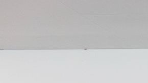 La alcaldesa Karen Bass lanzó su campaña de reelección al cargo.