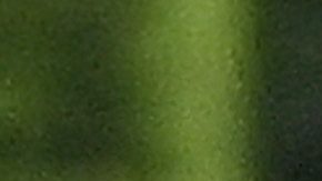 Joaquim Valente y Gisele Bündchen