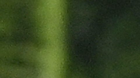 Joaquim Valente y Gisele Bündchen