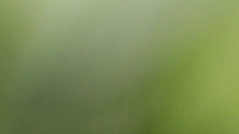 El karma que trabajen esta semana será clave para estos signos.