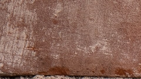 La astrología china pide precaución con el karma a ciertos signos animales.