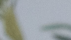 Limpiar energéticamente tu árbol potencia su simbolismo.