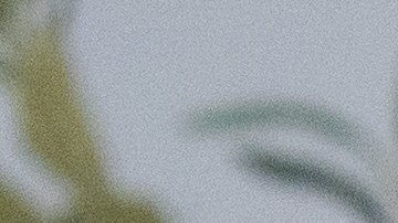 Limpiar energéticamente tu árbol potencia su simbolismo.