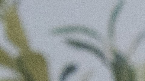 Limpiar energéticamente tu árbol potencia su simbolismo.