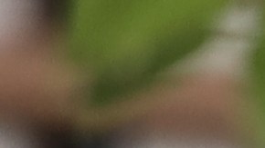 Este ritual energético te ayuda a limpiar tu aura de lo que acumulaste en 2025.