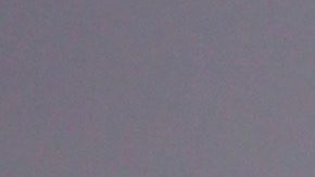 María Celeste Arrarás