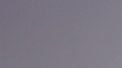 María Celeste Arrarás