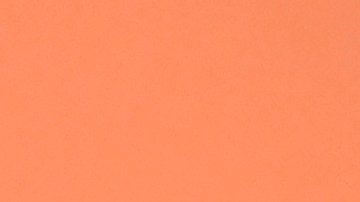 Miley Cyrus y Maxx Morando