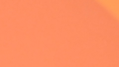 Miley Cyrus y Maxx Morando