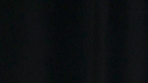 Migbelis Castellanos